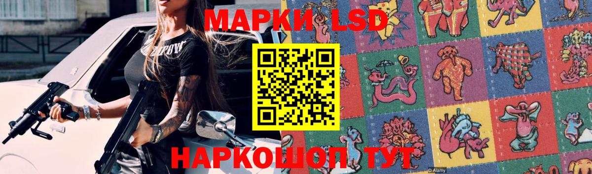 blacksprut зеркало  Вход с VPN  Лсд 25 экстази кислота  Курчатов  LSD-25 экстази кислота 