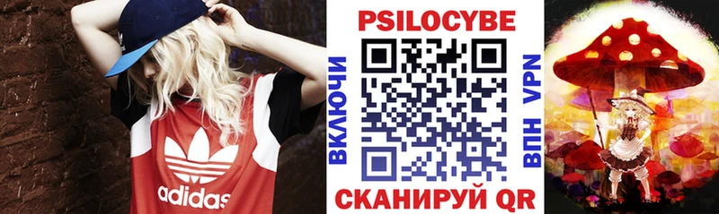 ОМГ ОМГ ссылки  Курчатов  Галлюциногенные грибы Cubensis 