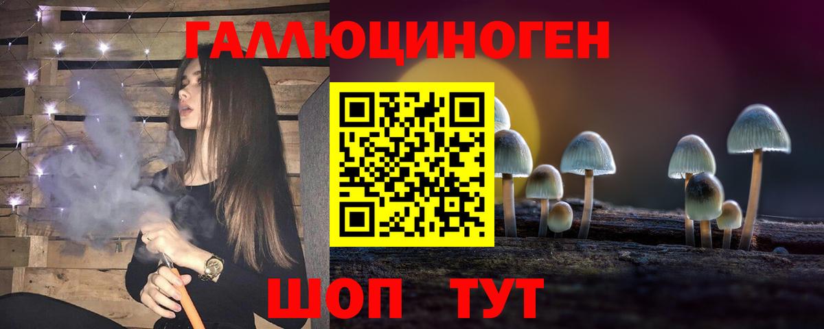 Псилоцибиновые грибы мухоморы  Курчатов 