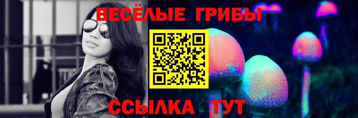 Галлюциногенные грибы Cubensis  Галлюциногенные грибы мицелий  Курчатов  Вход с VPN 
